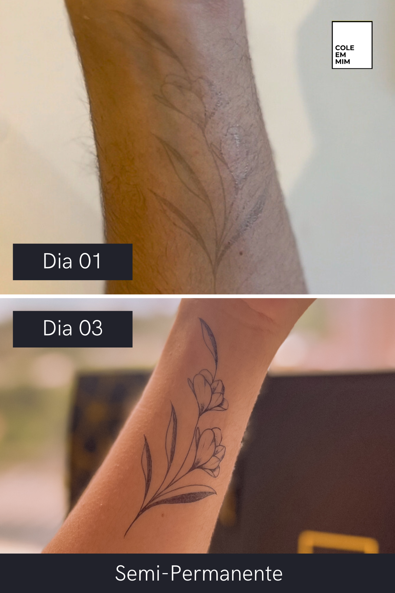 (6 unidades) Coleção Viagem Semi-Permanente